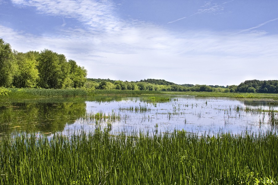 Remove  Great Meadows