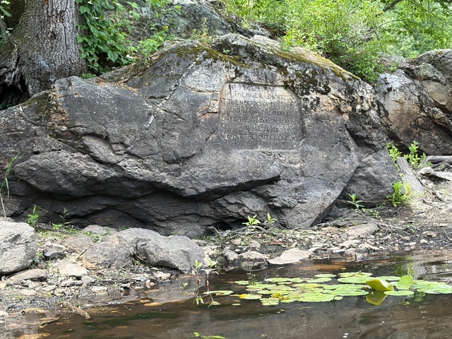 AMC Paddle Egg Rock