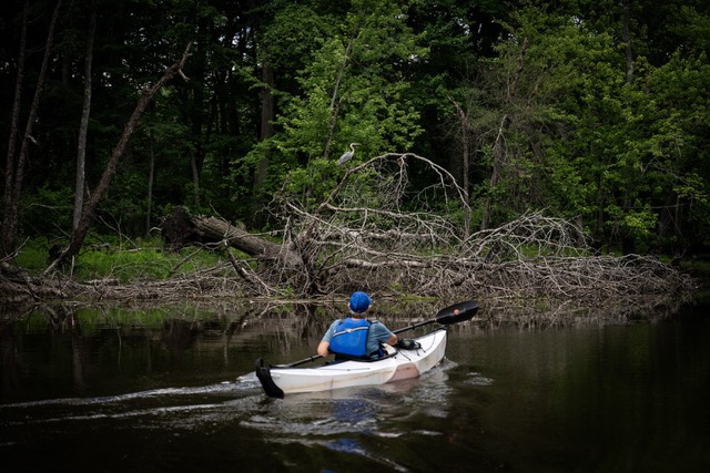 AMC Paddle