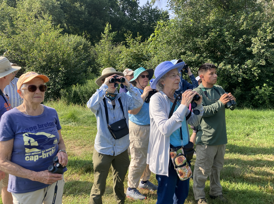 Bird and Butterfly Walk at Sedge Meadow (7/28/24)